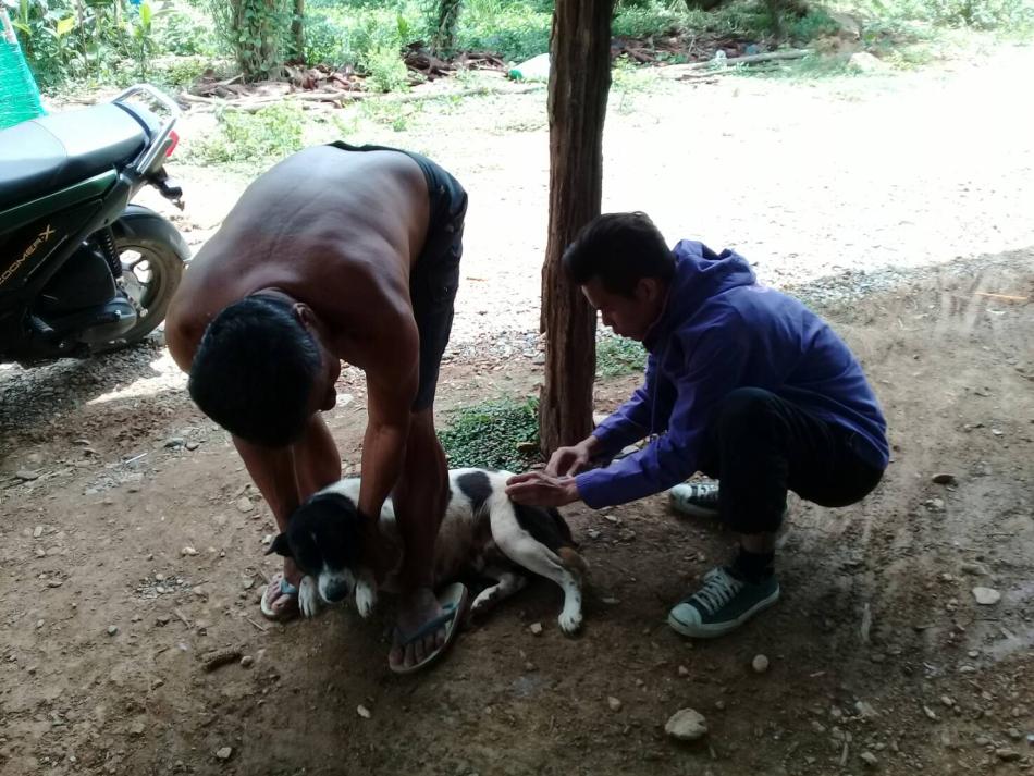องค์การบริหารส่วนตำบลท่าอิบุญออกให้บริการฉีดวัคซีนป้องกันโรคพิษสุนัขบ้าให้กับสุนัขและแมว